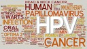 HPV: O Papilomavírus Humano